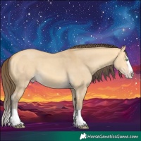 Horse Color:Amber Cream Champagne Dun Splash