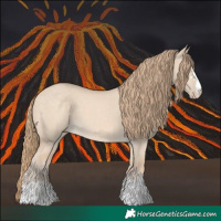 Horse Color:Perlino Dun 