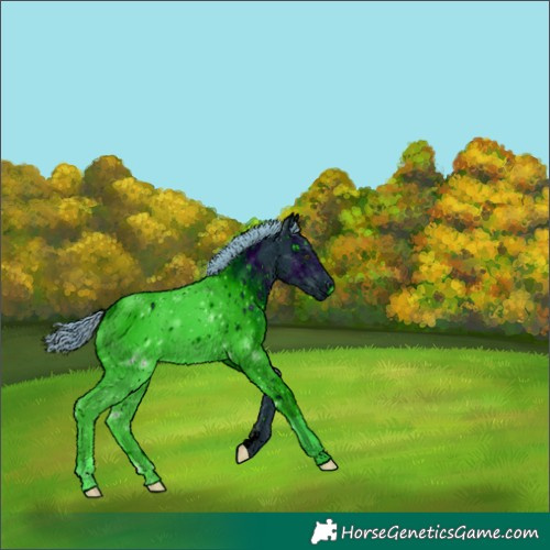 Horse Color:ERROR: UNKNOWN ANOMALY