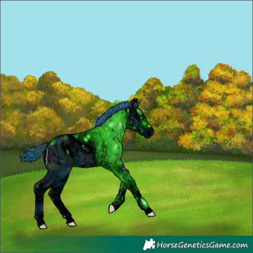 Horse Color:ERROR: UNKNOWN ANOMALY