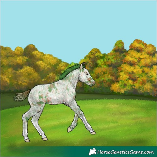 Horse Color:Watercolor Plaid  Brown Ice 