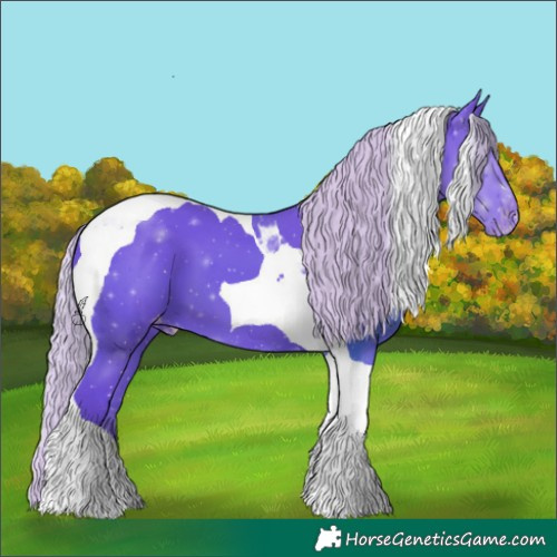 Horse Color:Watercolor Silver Black Tobiano Appaloosa 