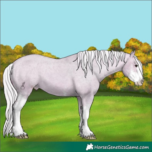 Horse Color:Watercolor Silver Bay Dun Sabino Varnish 