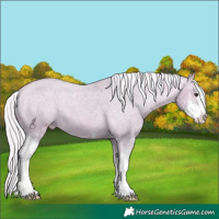 Horse Color:Watercolor Silver Bay Dun Sabino Varnish 