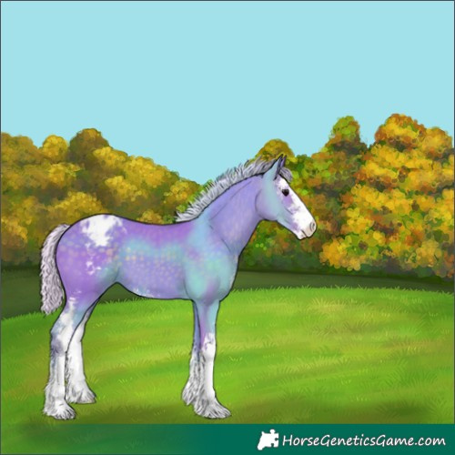 Horse Color:Watercolor Silver Black Sabino Appaloosa 