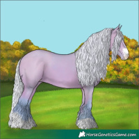 Horse Color:Watercolor Silver Bay Dun Sabino Varnish 