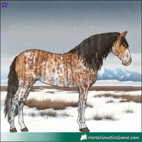 Horse Color:Bay Sabino Rabicano  and Buckskin Sabino Rabicano 
