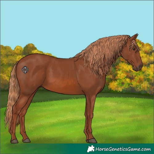 Horse Color:Chestnut 