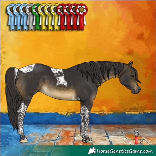 Horse Color:Buckskin Tobiano 