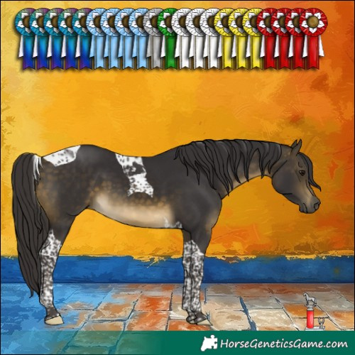 Horse Color:Buckskin Tobiano 