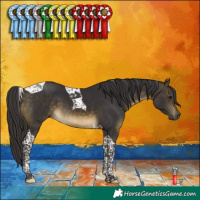 Horse Color:Buckskin Tobiano 