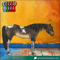 Horse Color:Buckskin Tobiano 