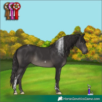 Horse Color:Smoky Black Tobiano