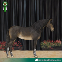 Horse Color:Buckskin Tobiano