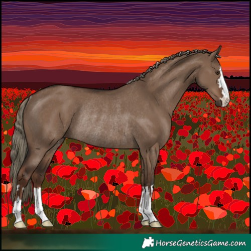 Horse Color:Liver Red Dun Rabicano