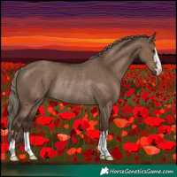 Horse Color:Liver Red Dun Rabicano 