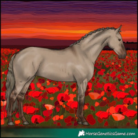 Horse Color:Liver Red Dun Rabicano 