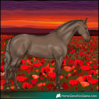 Horse Color:Liver Red Dun Rabicano 