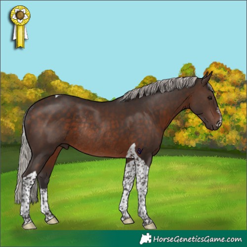 Horse Color:Silver Brown Tobiano Rabicano 
