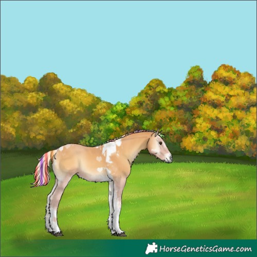 Horse Color:Painted Red Onyx Tobiano Rabicano 