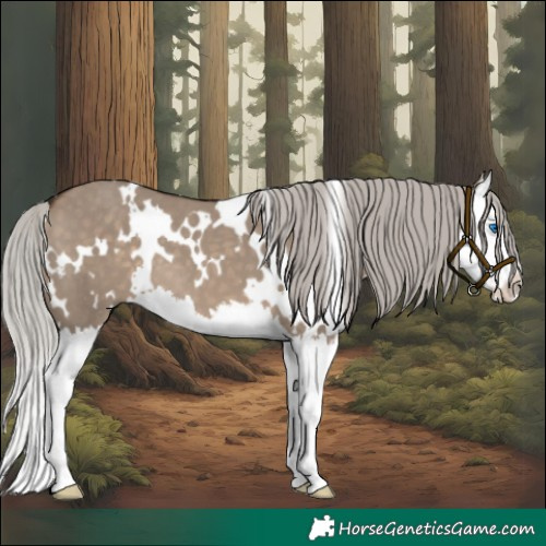 Horse Color:White Spotted Silver Brown Dun Splash 