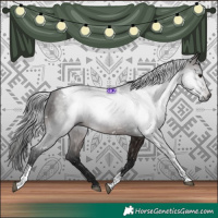 Horse Color:Gray White Spotted Bay Tobiano 
