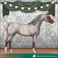 Horse Color:Silver Brown Roan 