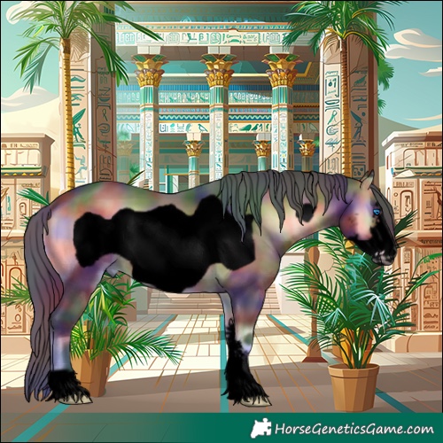 Horse Color:Void Nacre Brown Onyx Sabino Frame 
