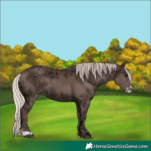 Horse Color:Chocolate Silver Black Ice Sabino 
