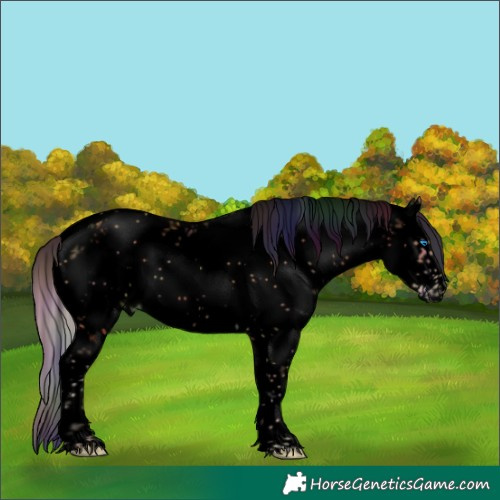 Horse Color:Void Nacre White Spotted Palomino Sabino Frame 