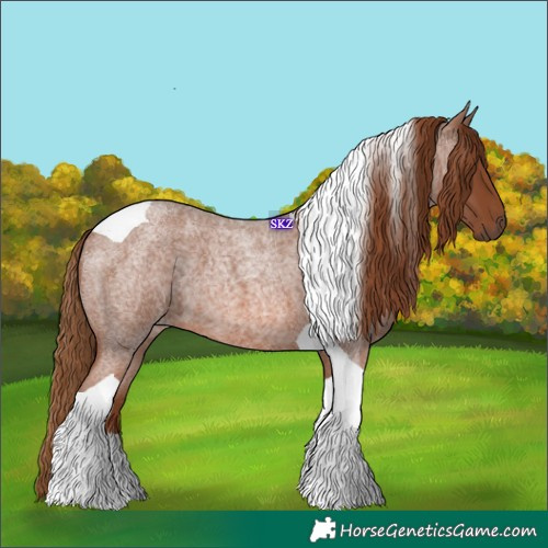 Horse Color:Red Roan Tobiano 
