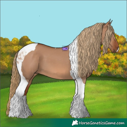 Horse Color:Red Dun Tobiano 
