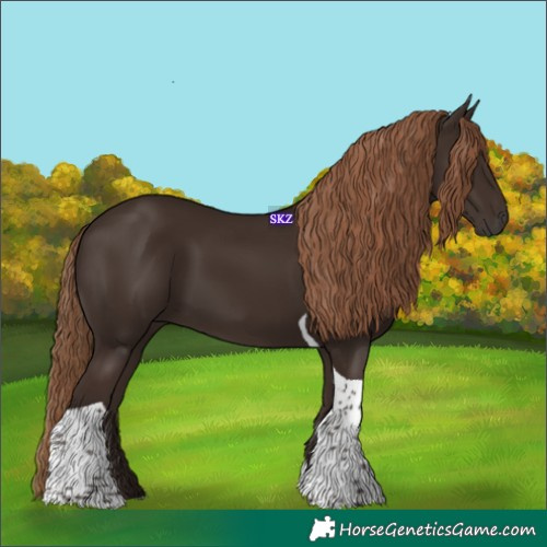 Horse Color:Liver Chestnut Tobiano 