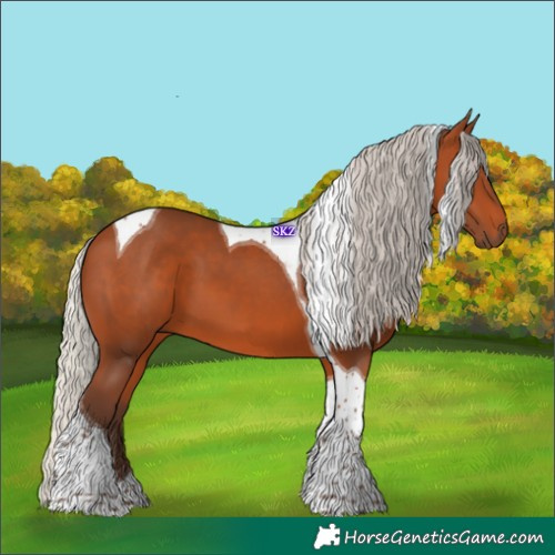Horse Color:Silver Bay Tobiano 