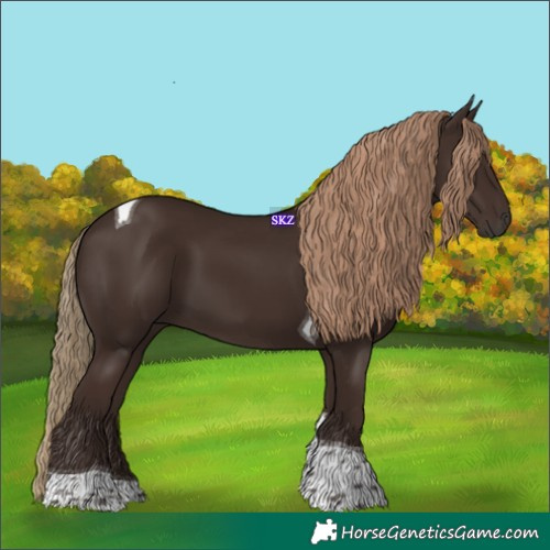 Horse Color:Liver Chestnut Tobiano 