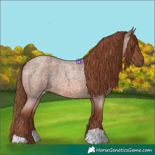 Horse Color:Red Roan 