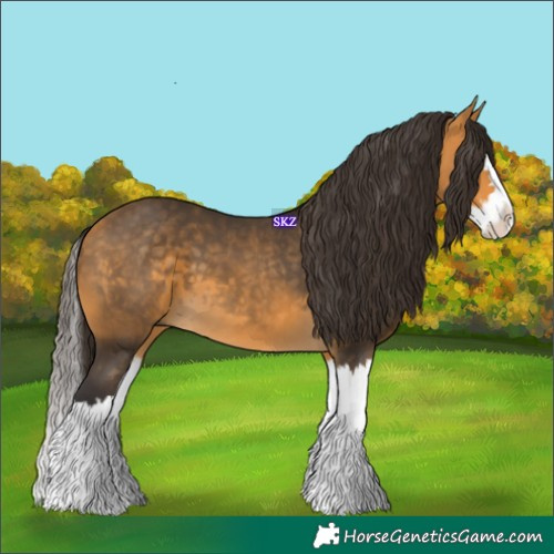 Horse Color:Buckskin Splash 