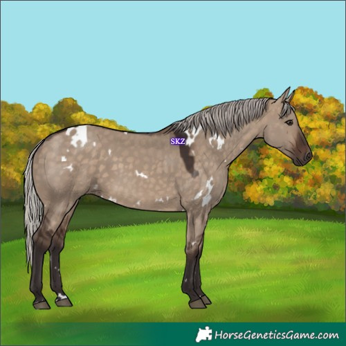 Horse Color:White Spotted Silver Brown Dun 