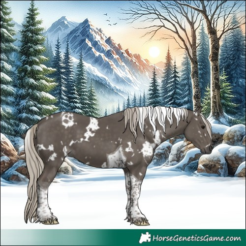 Horse Color:White Spotted Silver Smoky Black Tobiano 