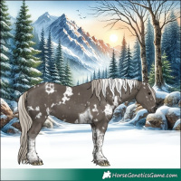 Horse Color:White Spotted Silver Smoky Black Tobiano 