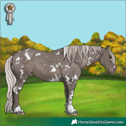 Horse Color:White Spotted Silver Black Varnish 