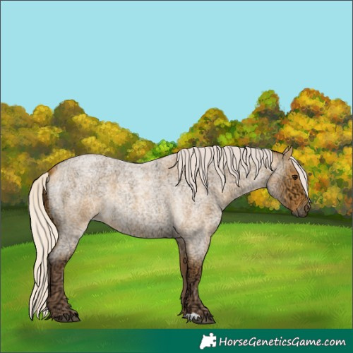 Horse Color:Chocolate Silver Buckskin Ice Roan 