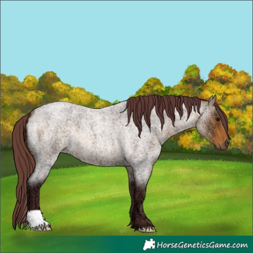 Horse Color:Chocolate Buckskin Ice Roan 