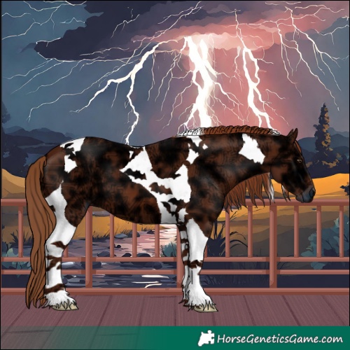 Horse Color:Chestnut Ice Tobiano 