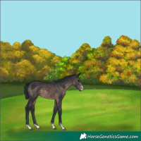 Horse Color:Platinum Brown 