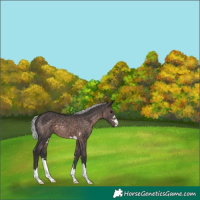 Horse Color:Platinum Silver Brown