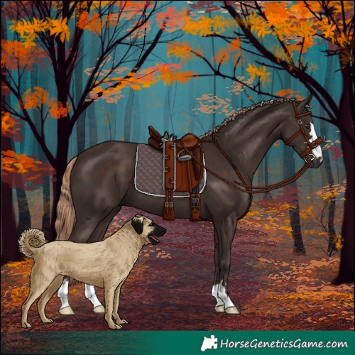 Horse Color:Liver Chestnut 