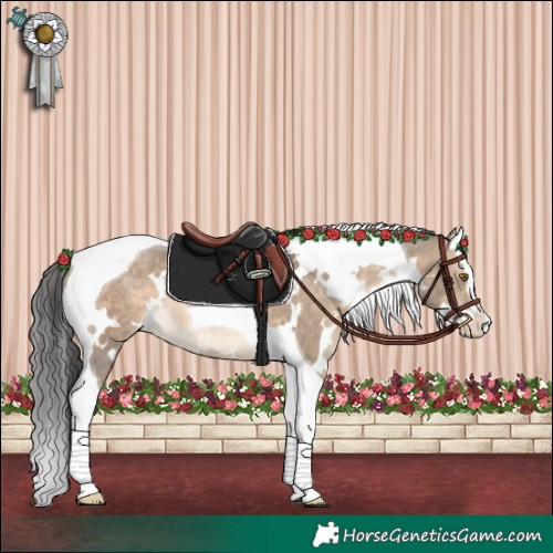 Horse Color:White Spotted Brown Dun Splash Tobiano 