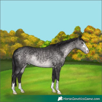 Horse Color:Platinum Buckskin