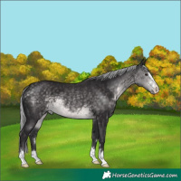 Horse Color:Platinum Silver Buckskin 